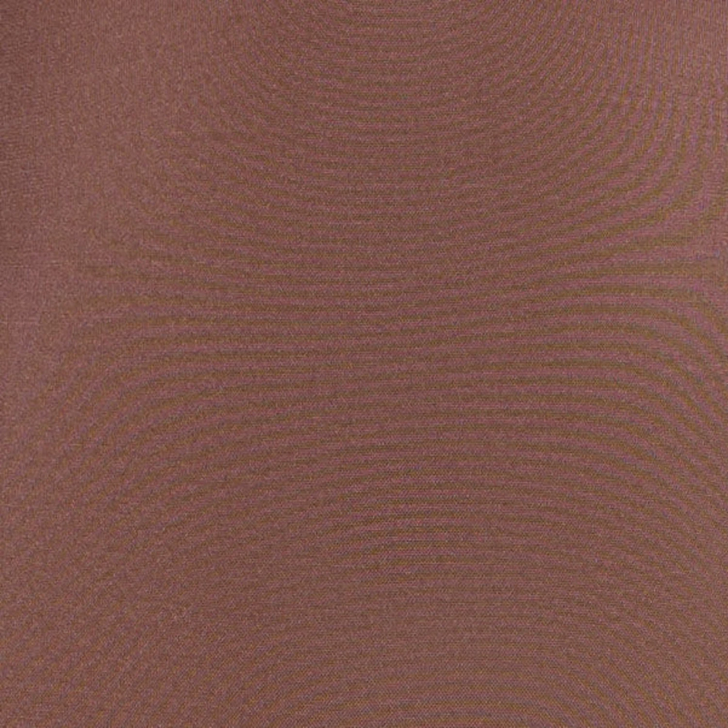 SHEER SCULPT OPEN BUST BODYSUIT | JASPER 5 SHEER SCULPT OPEN BUST BODYSUIT | JASPER - Image 5