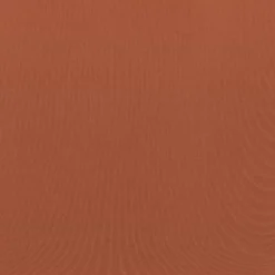 SEAMLESS SCULPT MID THIGH BODYSUIT | BRONZE 9 SEAMLESS SCULPT MID THIGH BODYSUIT | BRONZE -SWIM Sales Store SKIMS SHAPEWEAR BRZ SWcopy 094f1973 a445 4167 89a4 658b8eaa644e