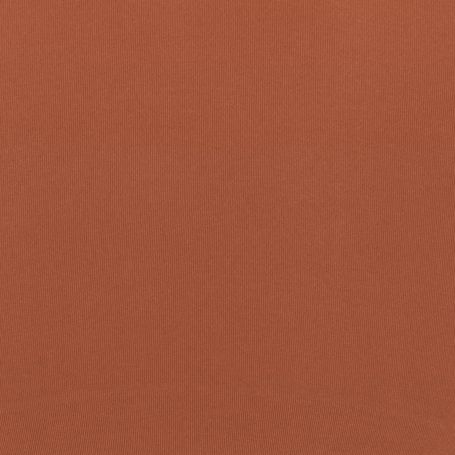 SEAMLESS SCULPT MID THIGH BODYSUIT | BRONZE 5 SEAMLESS SCULPT MID THIGH BODYSUIT | BRONZE - Image 5